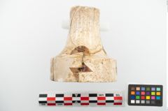 Foto von Eisenpilzknaufschwert (NHMW-PRAE-025265)